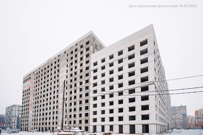 январь, 2025