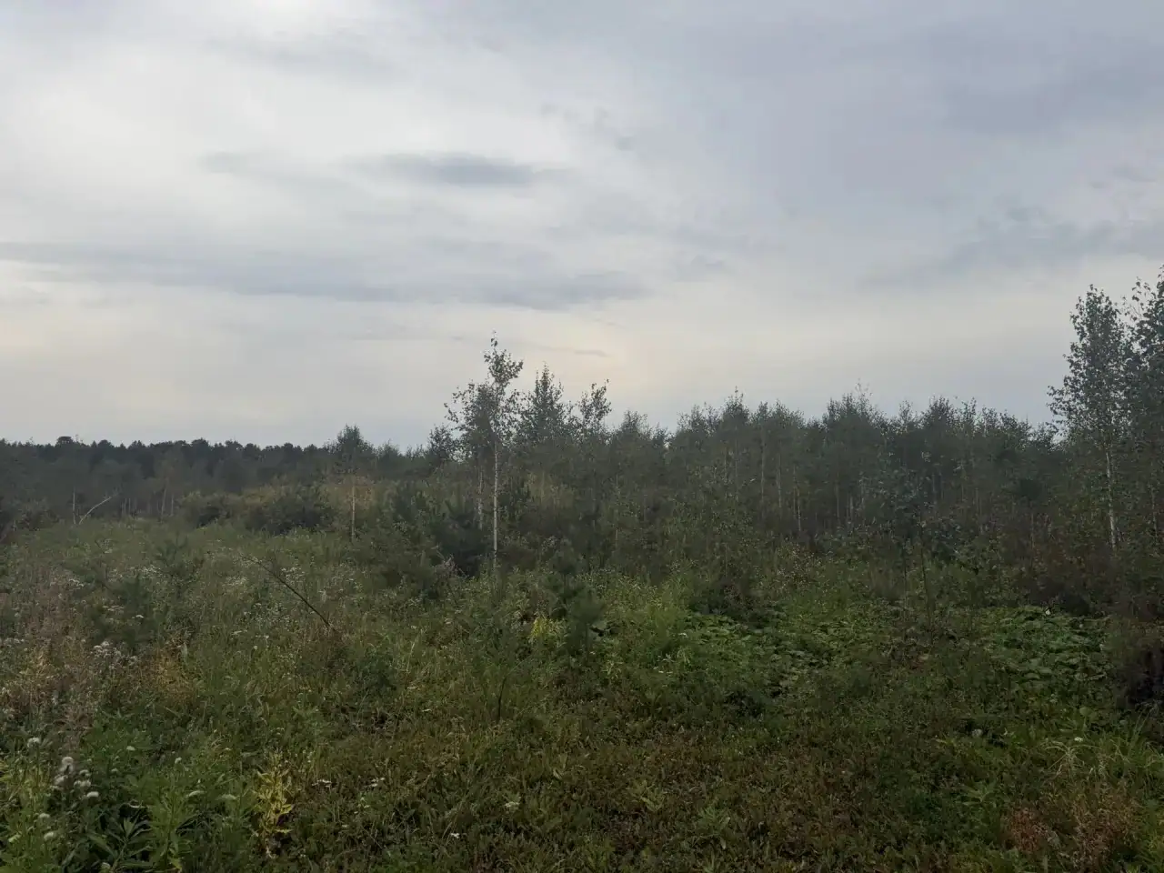сентябрь, 2026