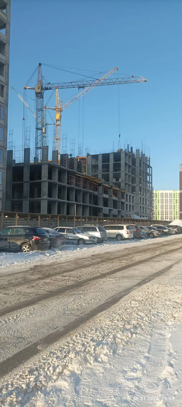 январь, 2024