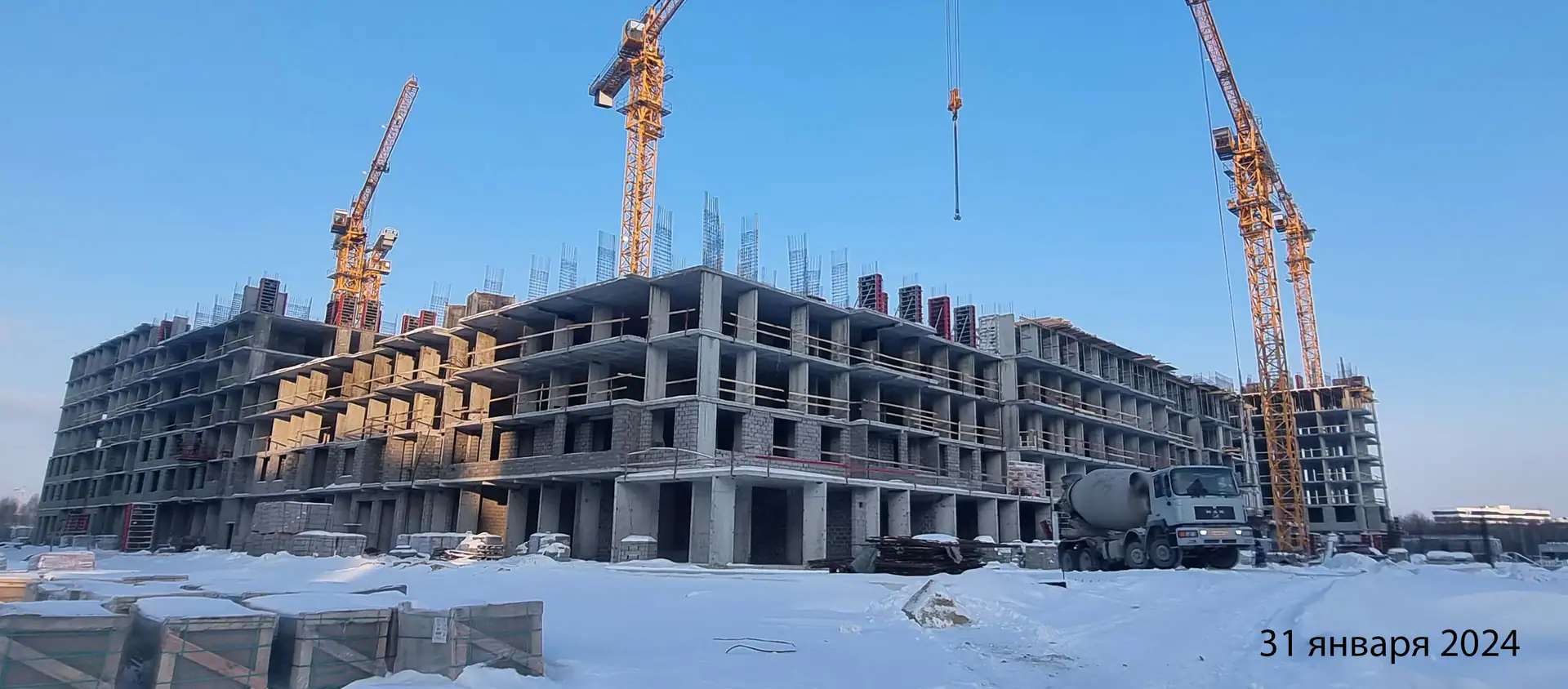январь, 2024