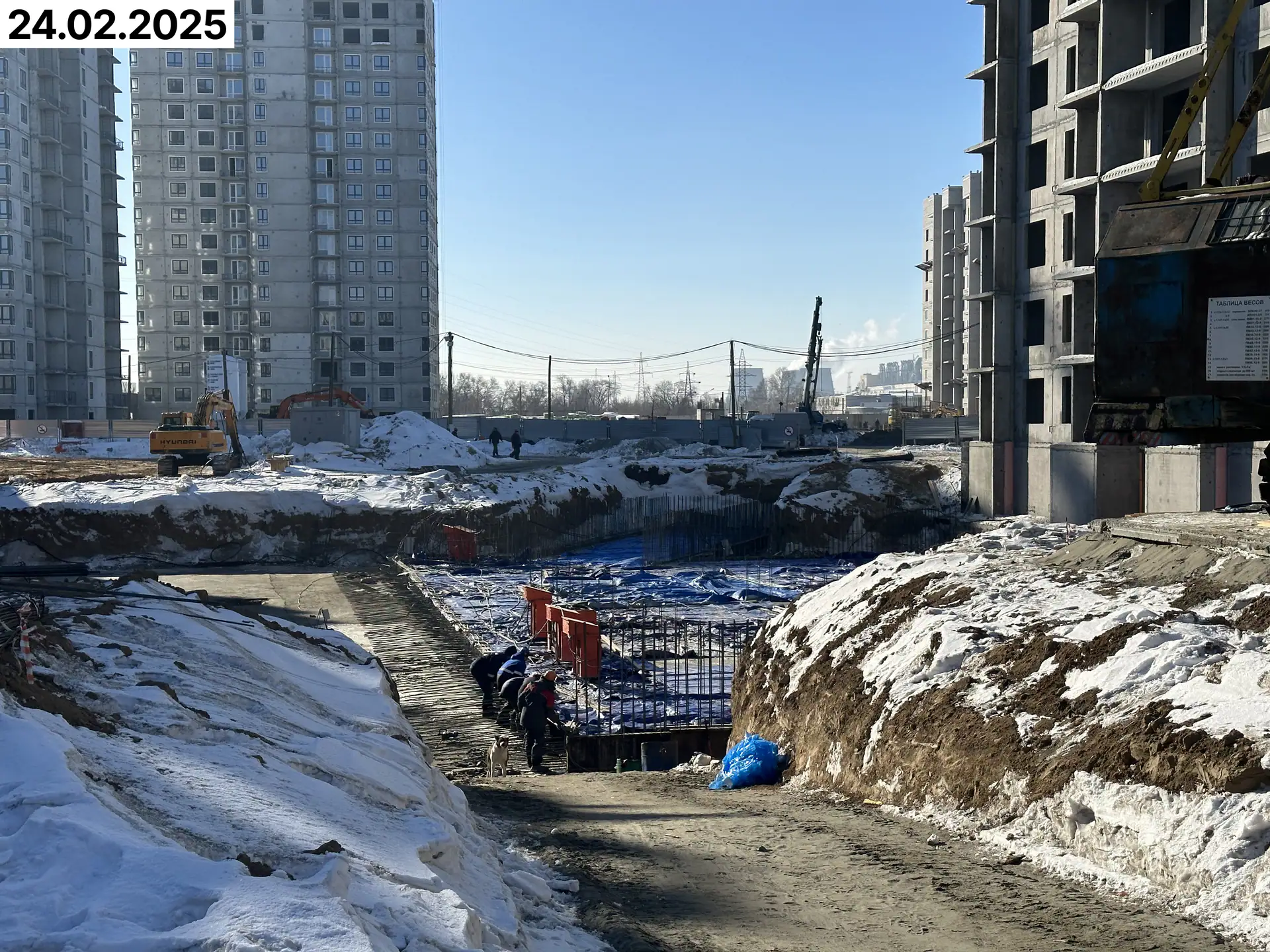 февраль, 2025