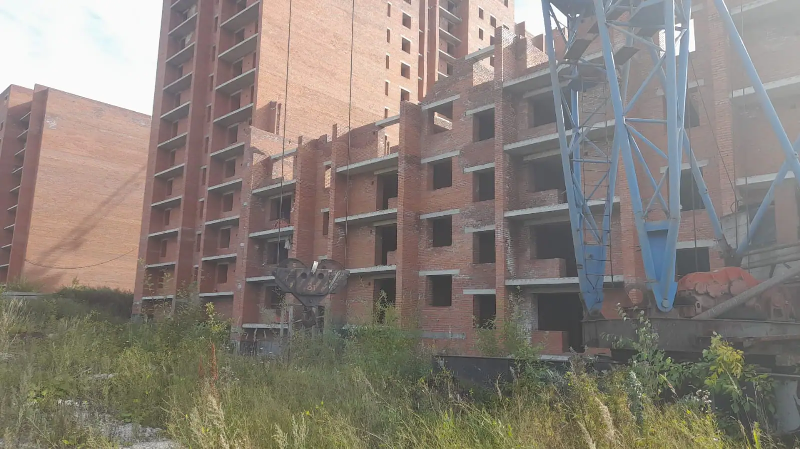 сентябрь, 2025