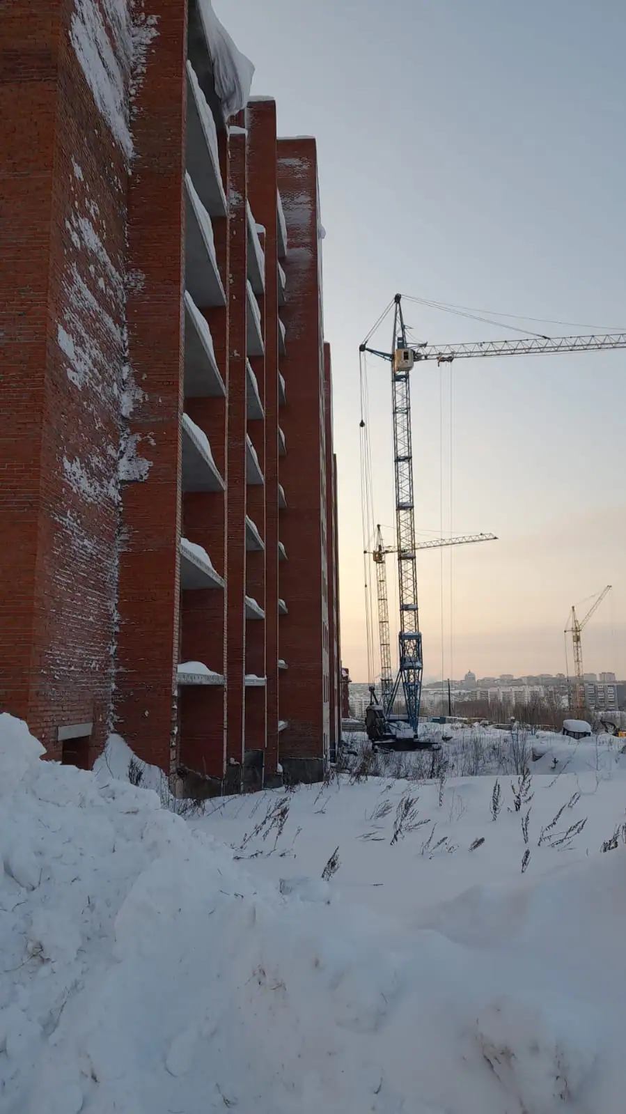 февраль, 2026