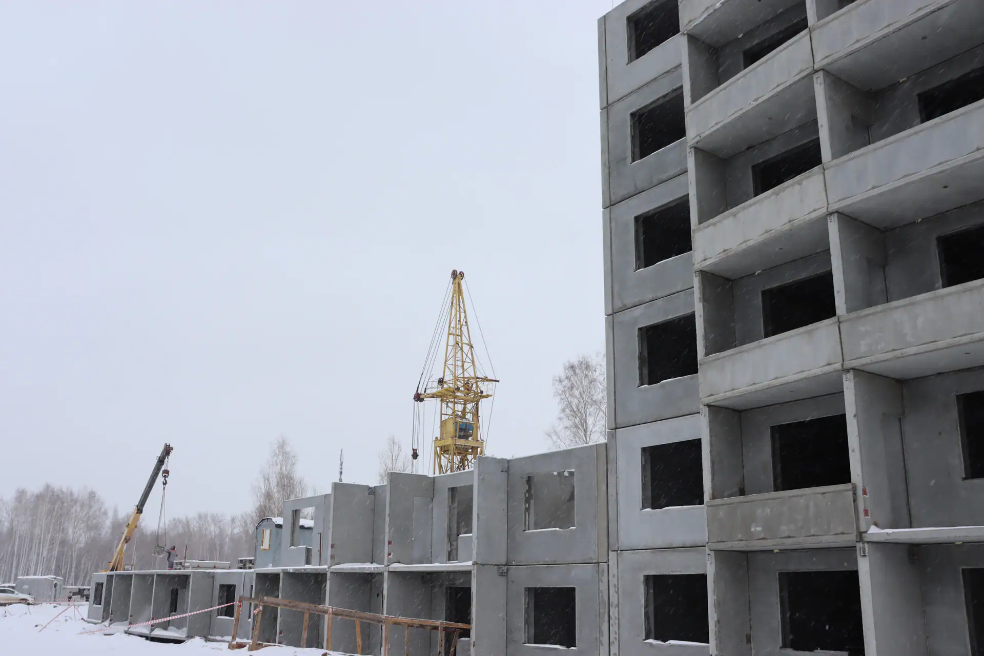 январь, 2025