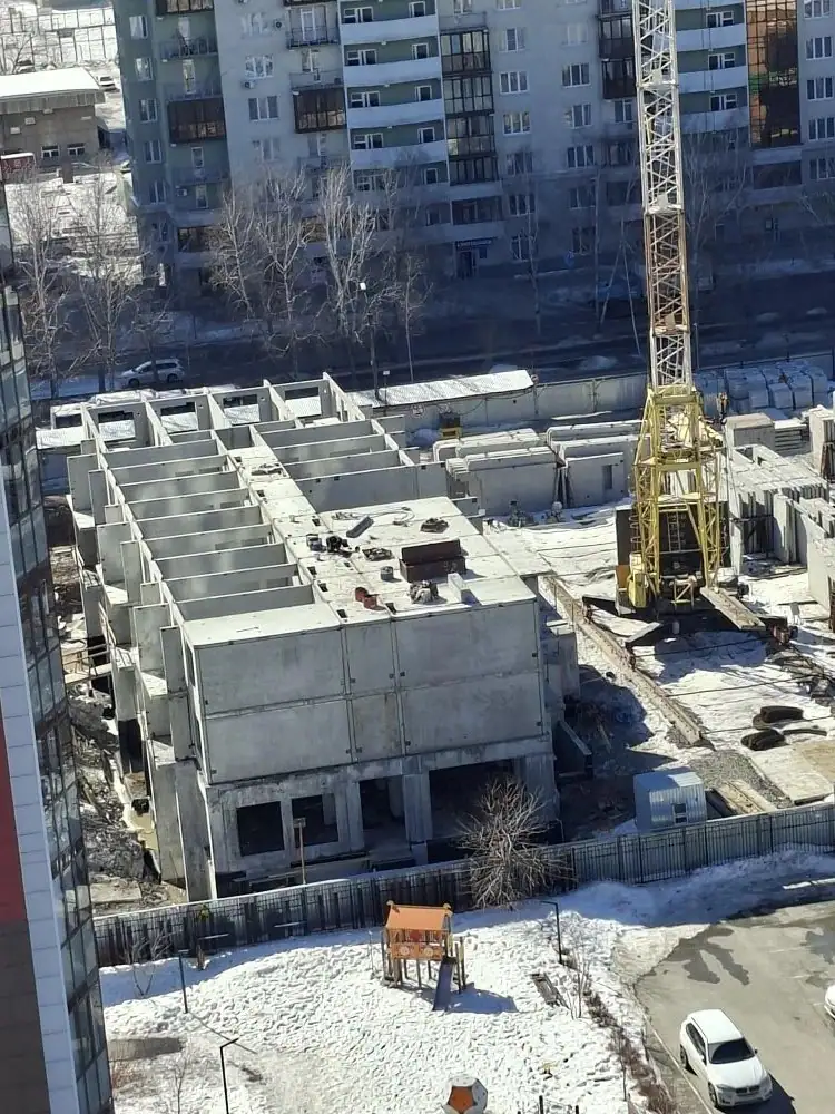 03 2026 г.