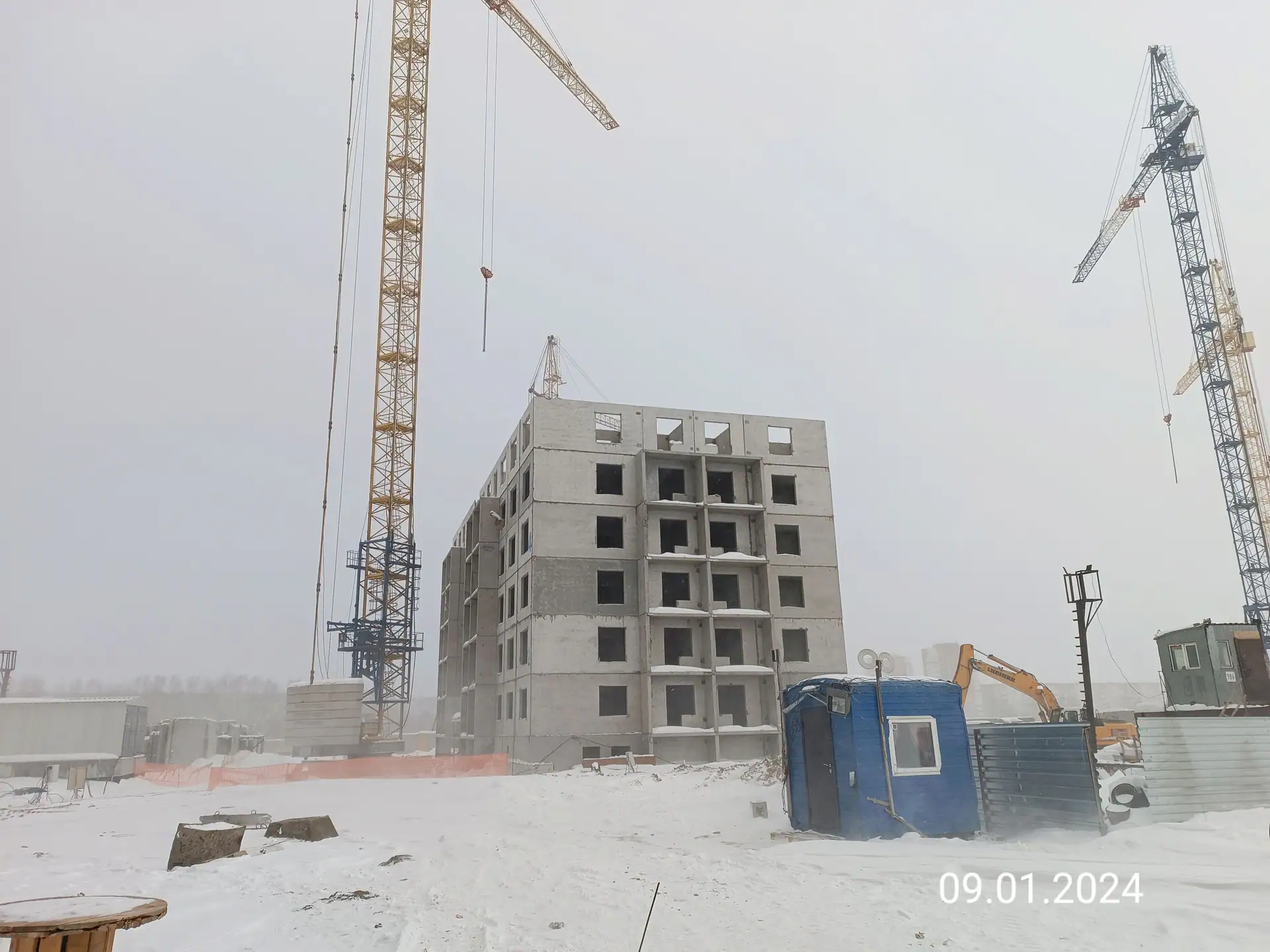 январь, 2024