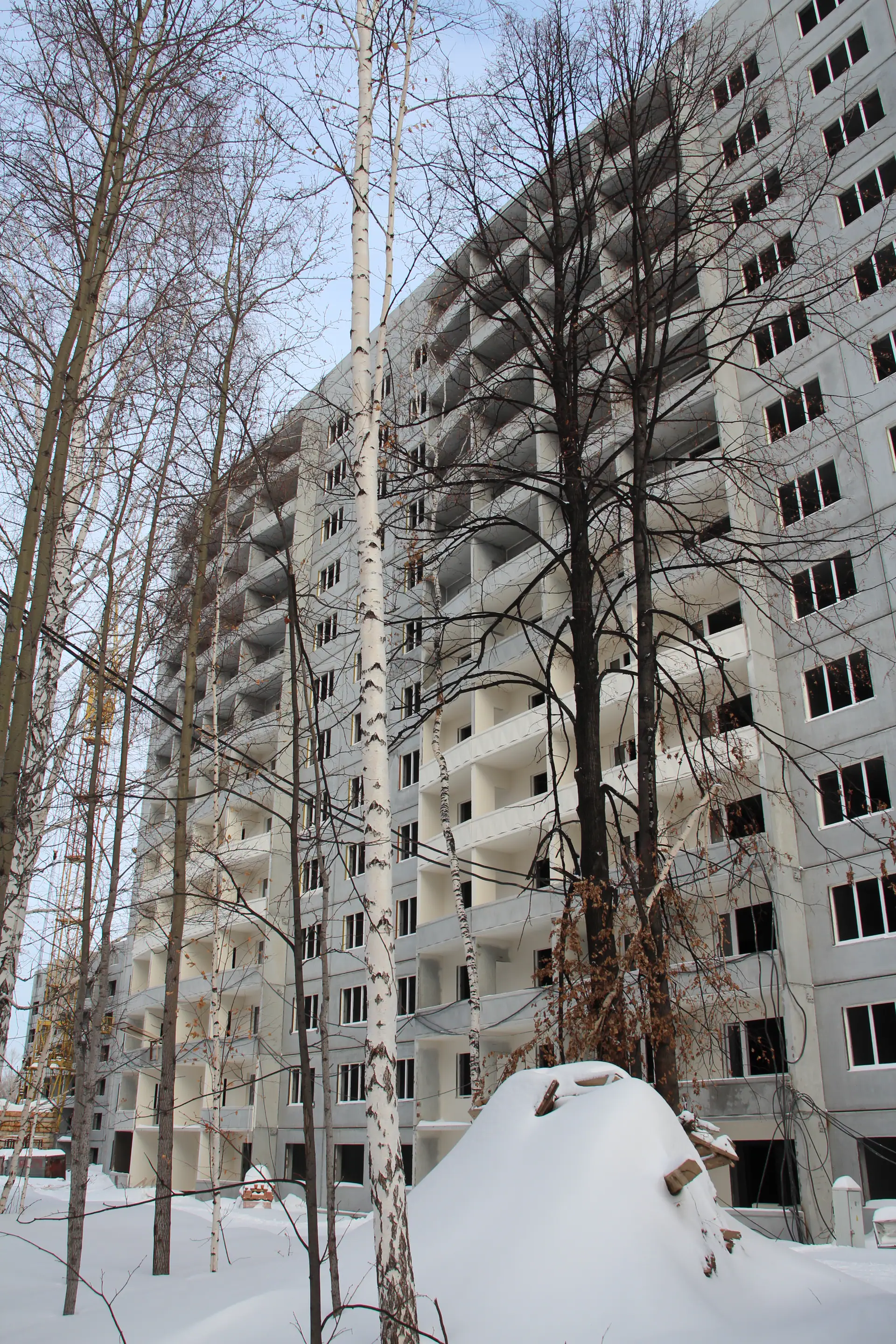 январь, 2026