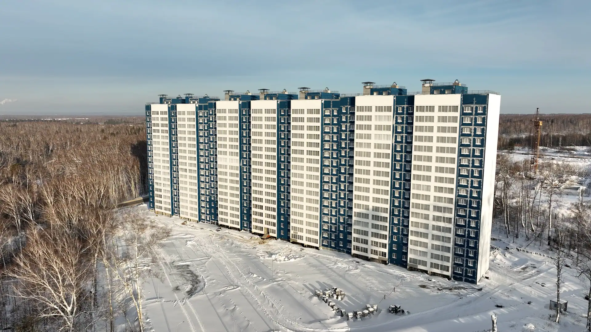 январь, 2024