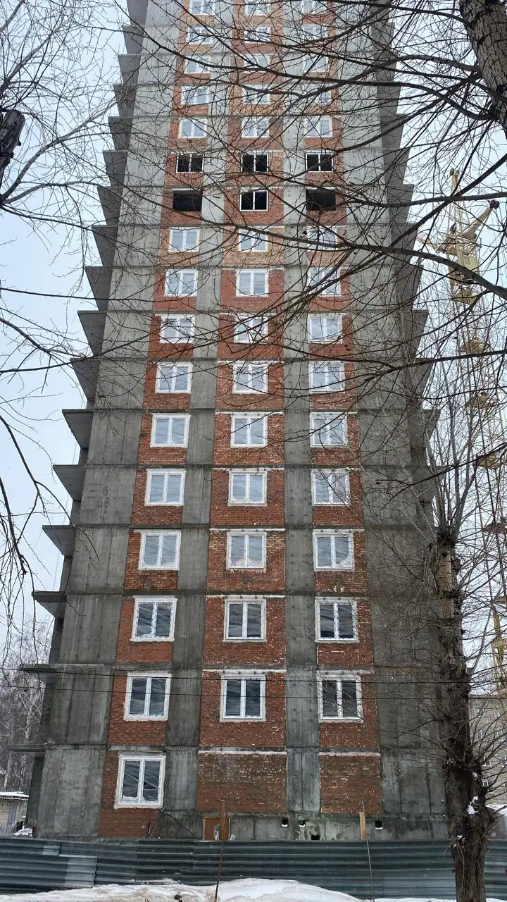 январь, 2024