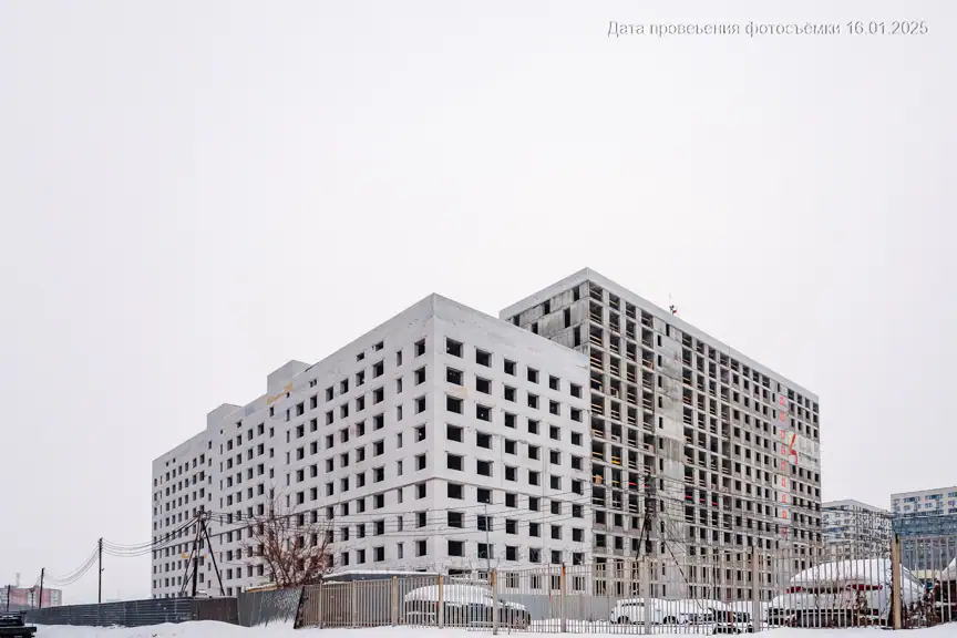 январь, 2025