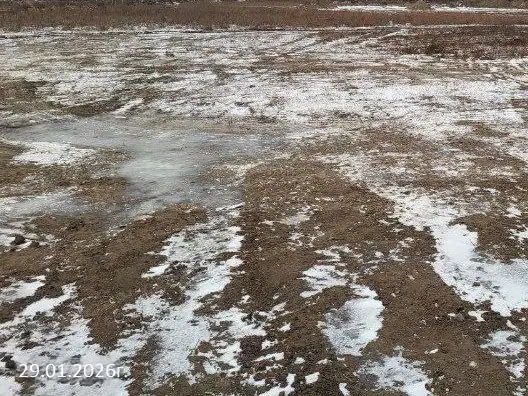 январь, 2026