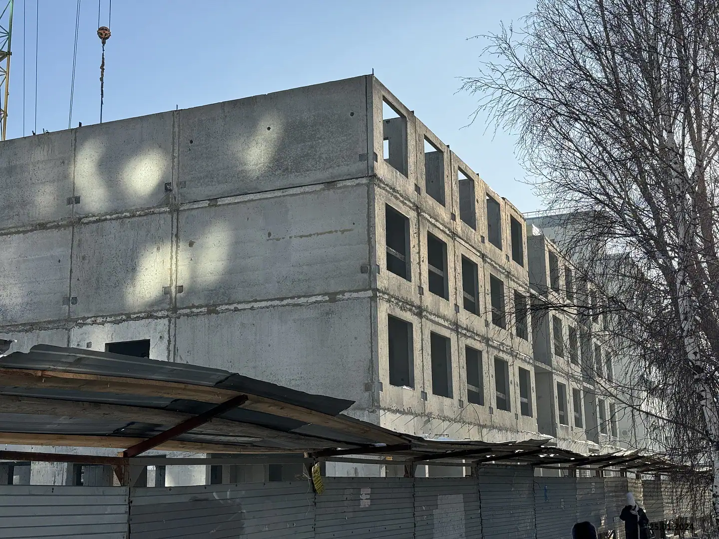 январь, 2024