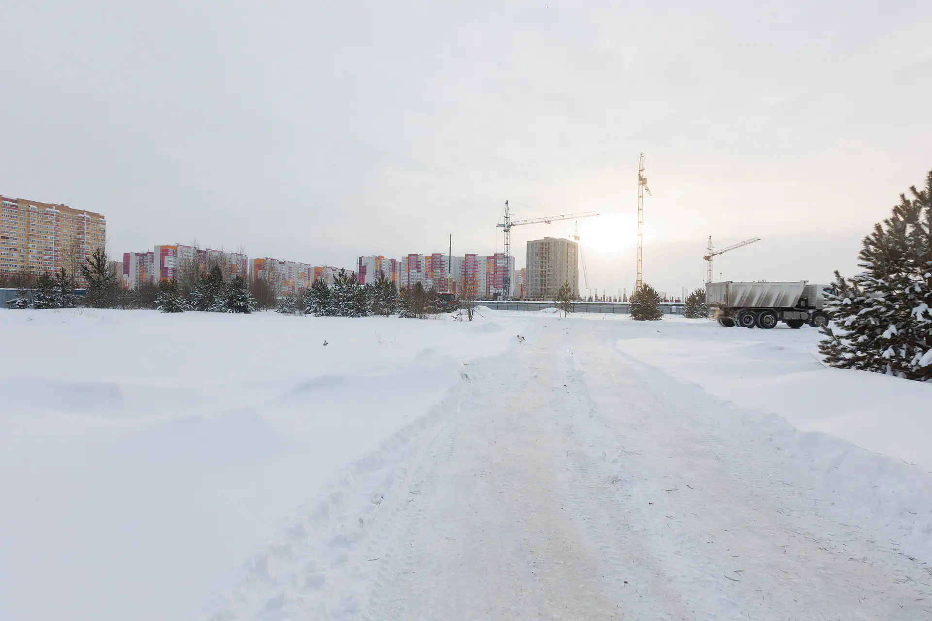 январь, 2024