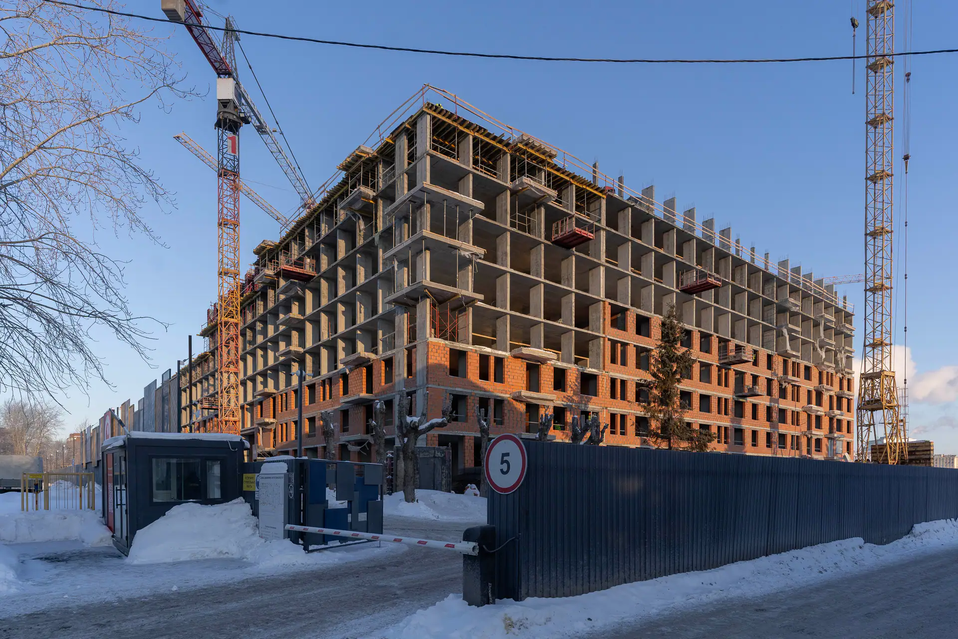 январь, 2024